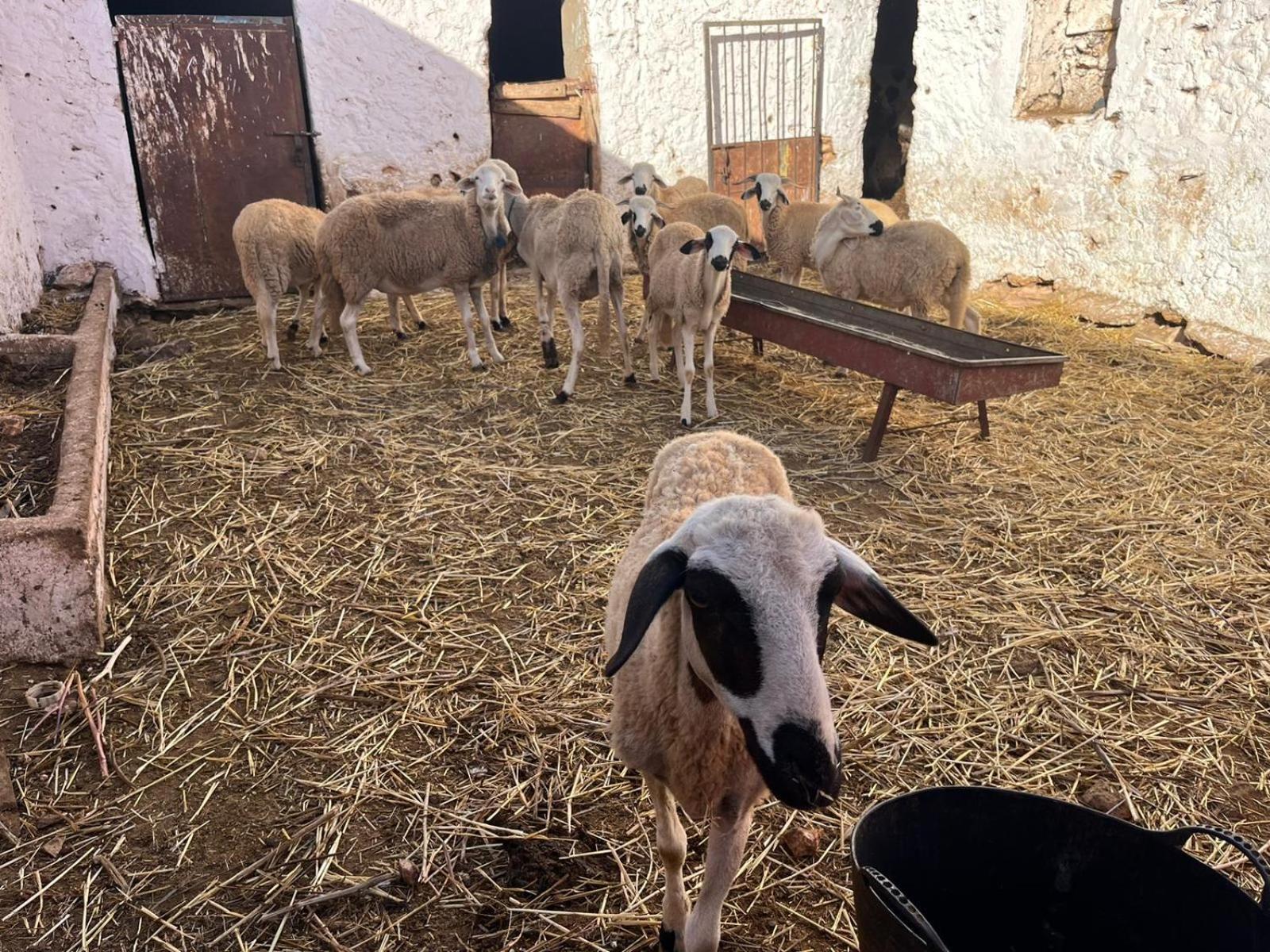 Khaima Oulad Abbou Bagian luar foto